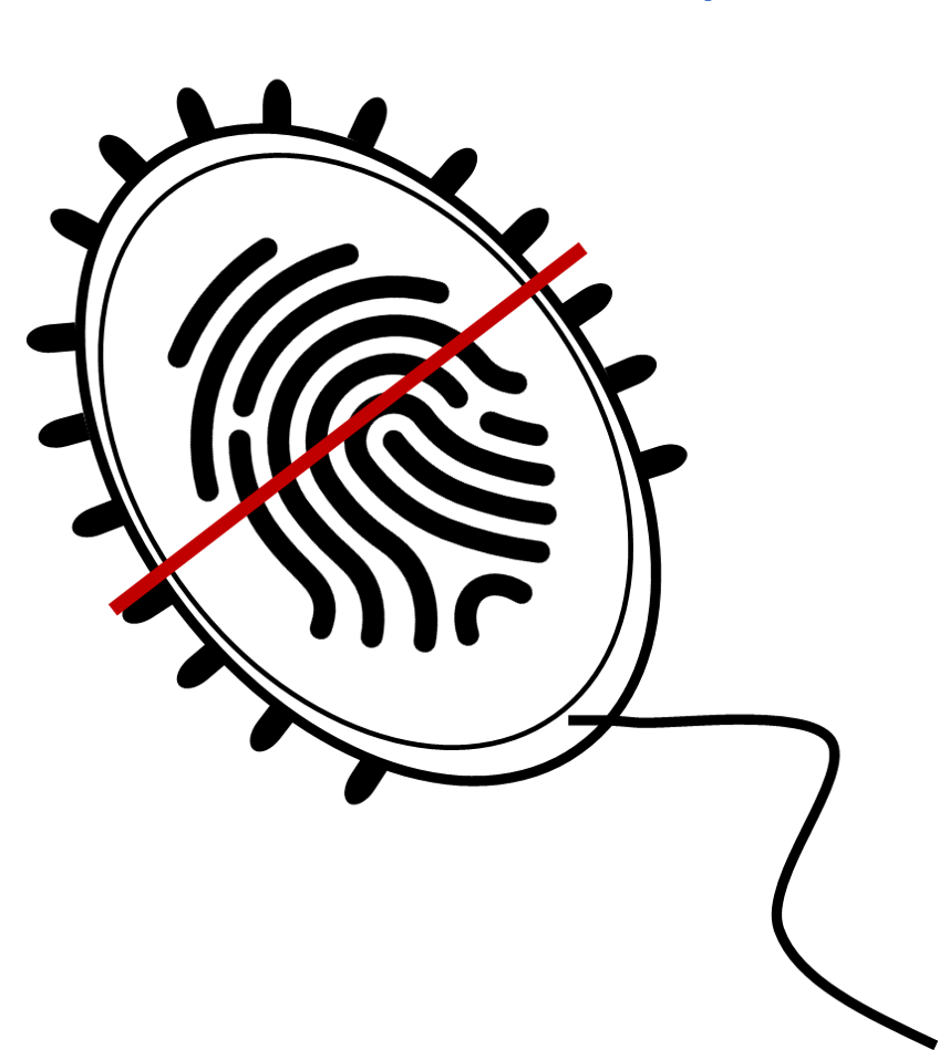 Light Logo